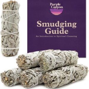 White Sage Bundles 6-Pack