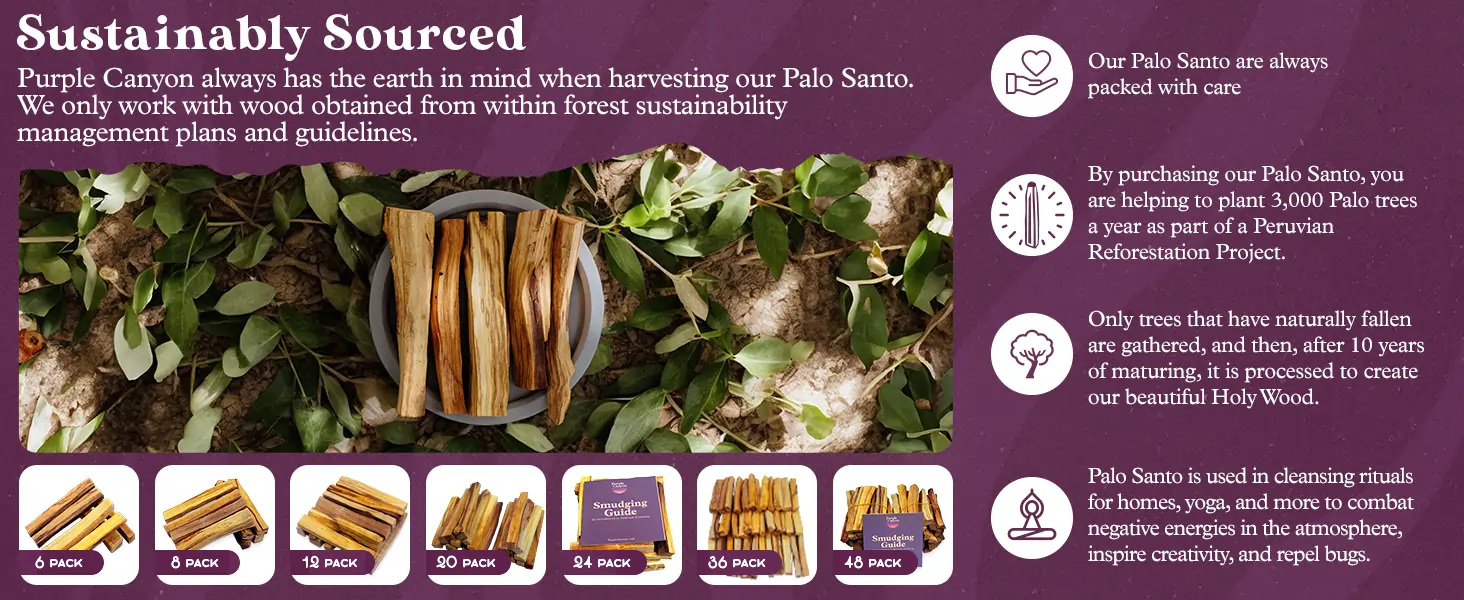 Palo Santo Incense Sticks 24 Pack