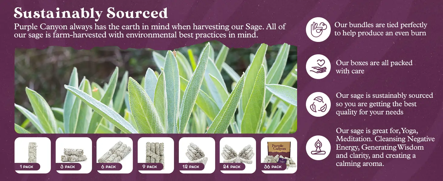 White Sage Bundle 1 Pack
