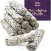 White Sage Smudge Bundle - 12 Pack