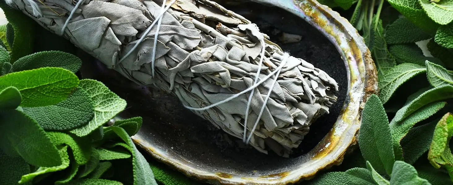White Sage Bundle 1 Pack